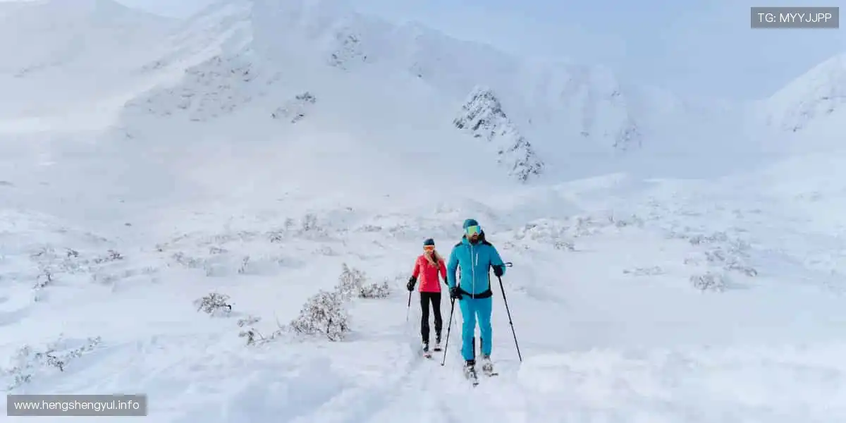 ⚽全球赛事，指尖掌控每分精彩！